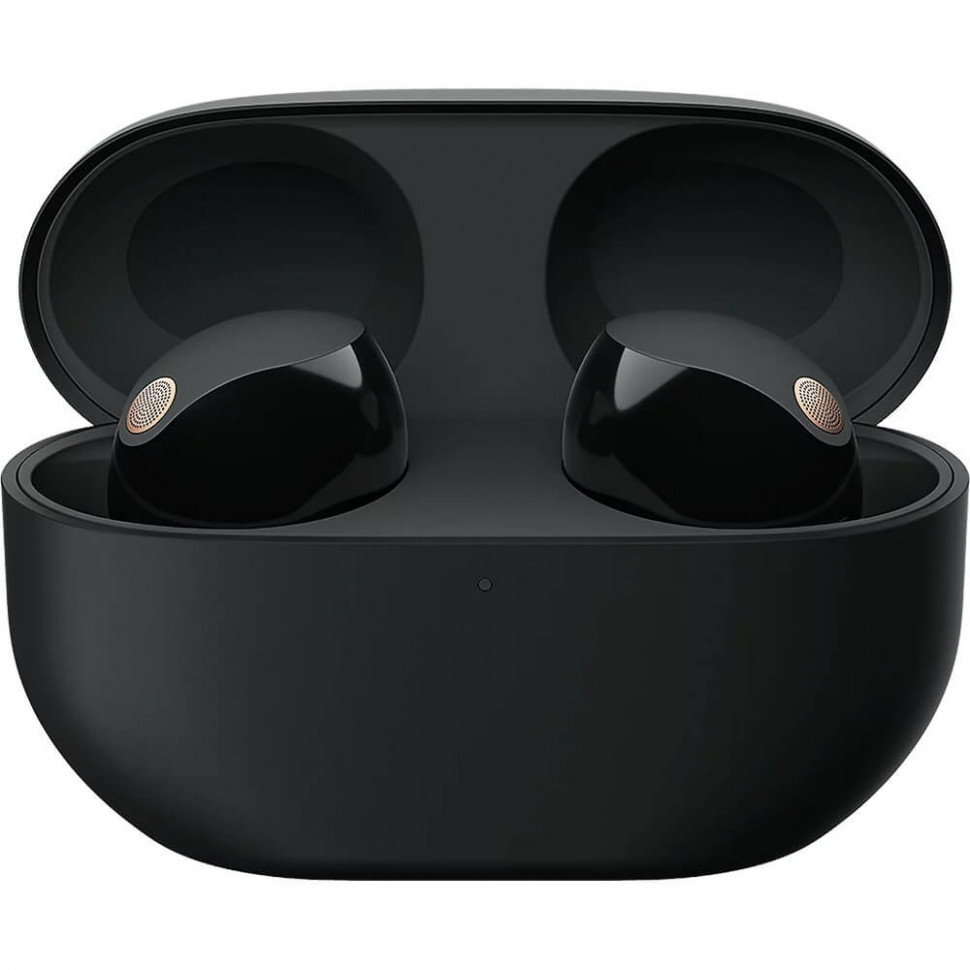 Беспроводные наушники Sony WF-1000XM5 Черный (Black)