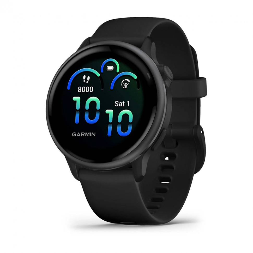 Умные часы Garmin Vivoactive 6 Slate with Black Band (010-02985-00)