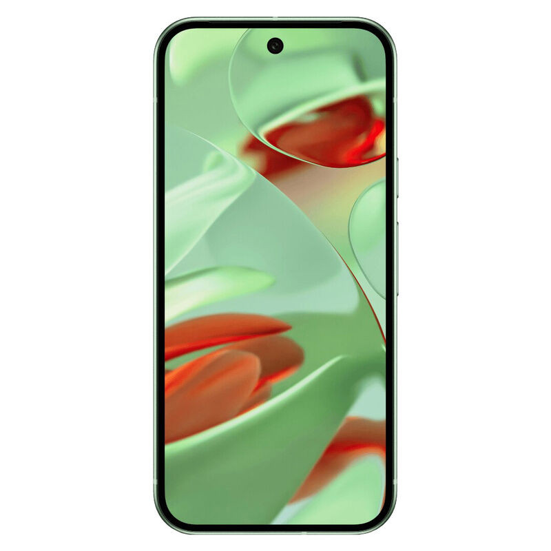 Смартфон Google Pixel 9 12/128GB Зеленый (Winter Green)