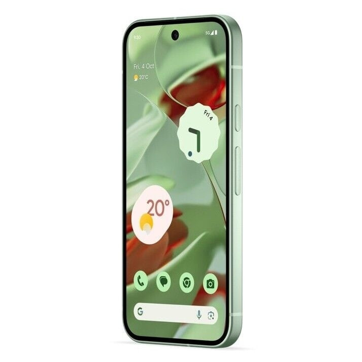 Смартфон Google Pixel 9 12/256GB Зеленый (Winter Green)