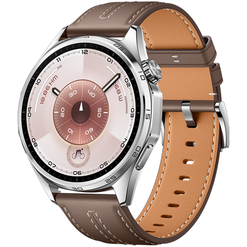 Умные часы HUAWEI Watch GT 6 46mm Коричневый (Brown)