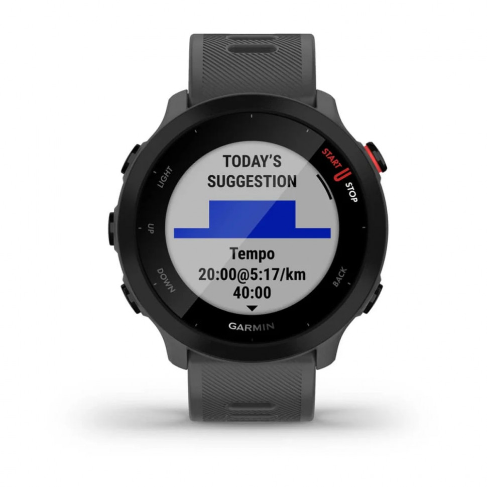 Умные часы Garmin Forerunner 55 Monterra Gray (010-02562-13)