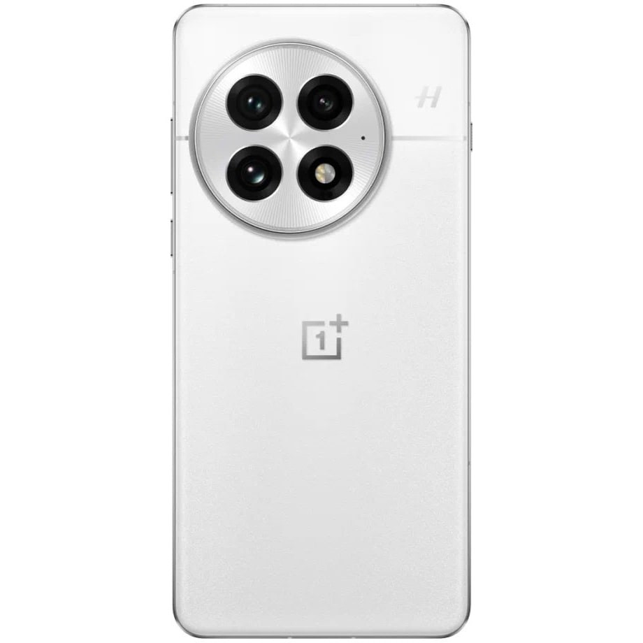 Смартфон OnePlus 13 12/256GB Белый (Arctic Dawn)