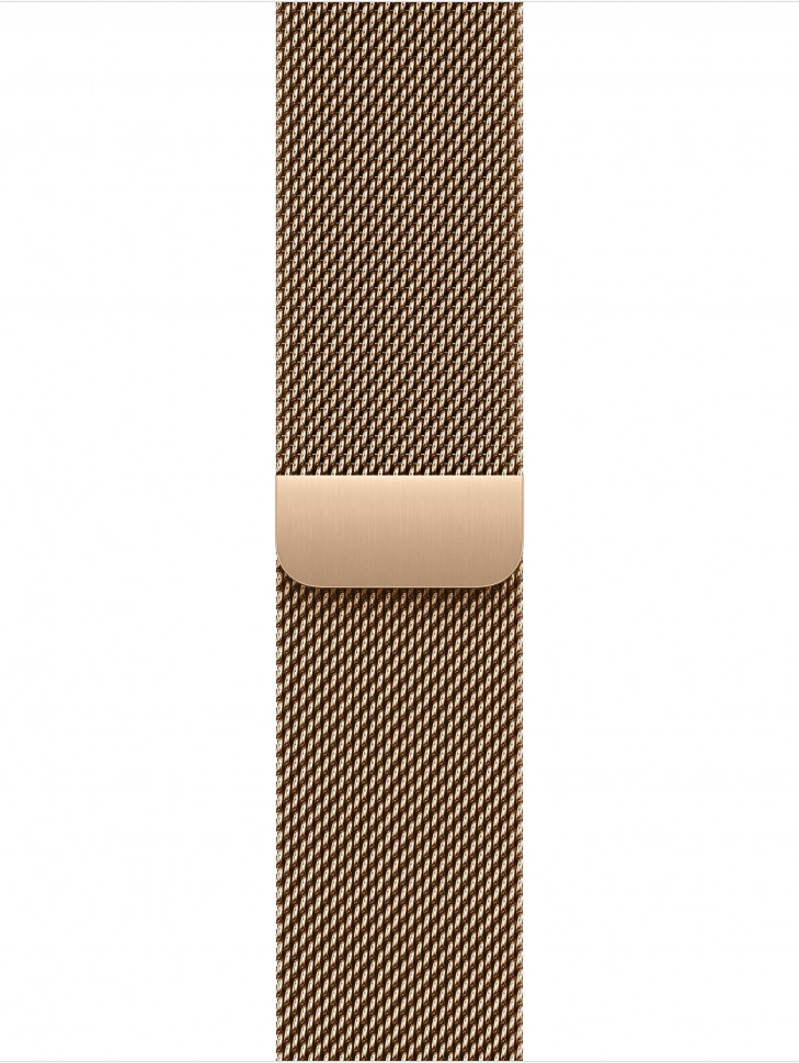 Умные часы Apple Watch Series 10 46mm Gold Titanium Case with Gold Milanese Loop (M/L)
