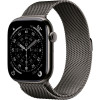 Умные часы Apple Watch Series 11 46mm Slate Titanium Case with Slate Milanese Loop (S/M)