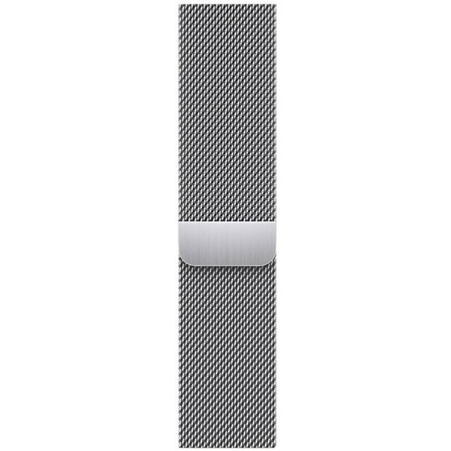 Умные часы Apple Watch Series 9 45mm Silver Stainless Steel Case with Silver Milanese Loop