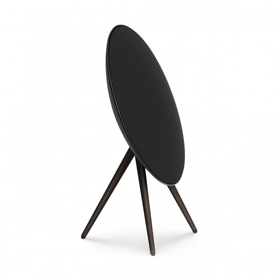 Беспроводная акустика Bang & Olufsen Beosound A9 5th Gen Черный (Black Anthracite)