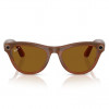 Умные очки Ray-Ban Skyler Shiny Caramel/Polar Brown (RW4010)