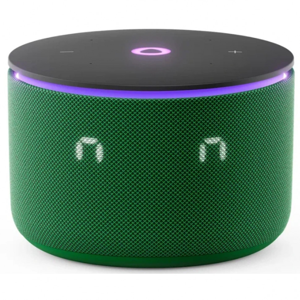 Умная колонка Яндекс Станция Мини 3 Про Зеленый